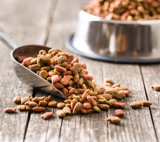 Pet Food